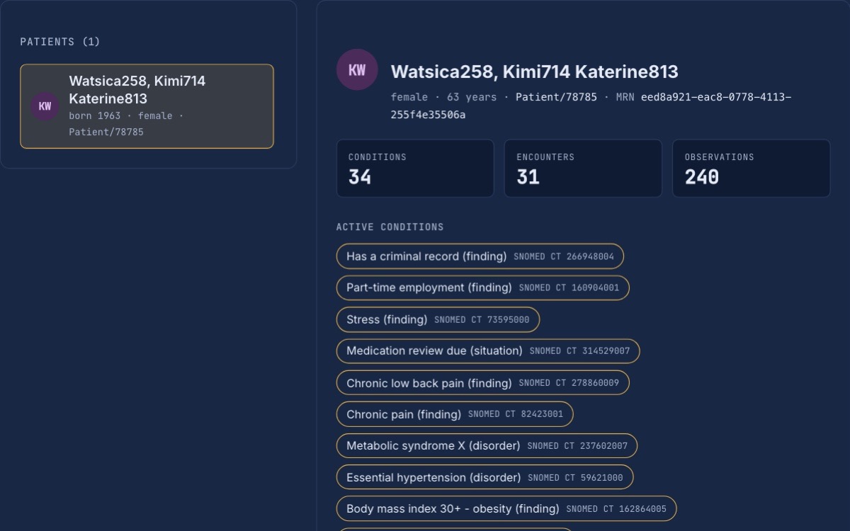 The FHIR R4 patient explorer at fhir.mvcprogrammer.com in dark mode, showing a synthetic patient's summary: counts and active conditions with SNOMED codes